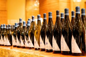 bottles of red wine all lined up