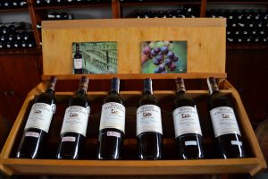different bottles of wine